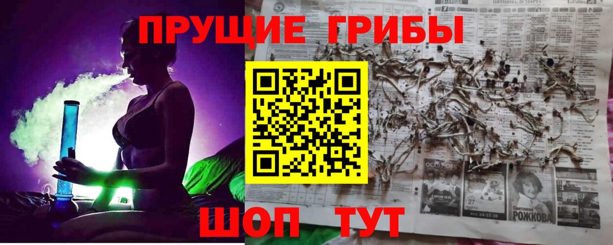 Псилоцибиновые грибы GOLDEN TEACHER Шахты